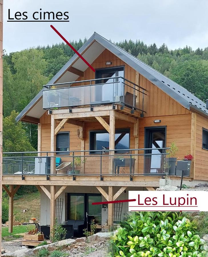 Au Chalet De Jo Muhlbach-sur-Munster Exterior photo
